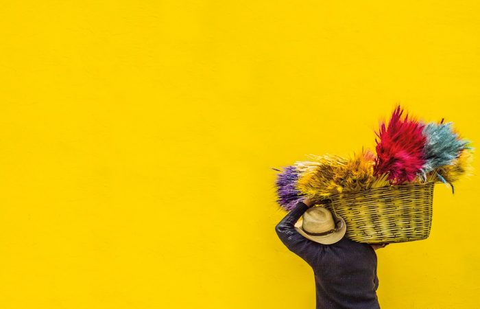 Photo Color swatches