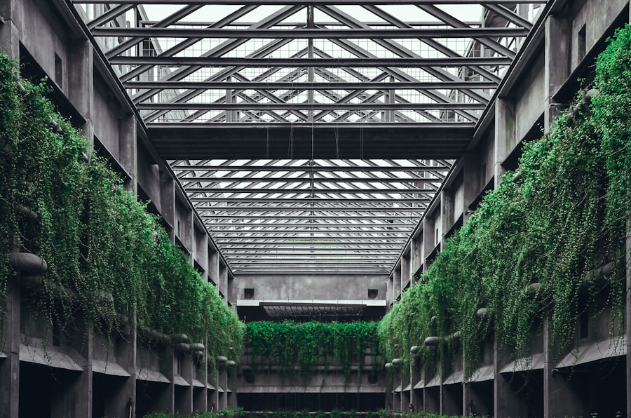 Photo Biophilic design in industrial spaces: beyond aesthetics